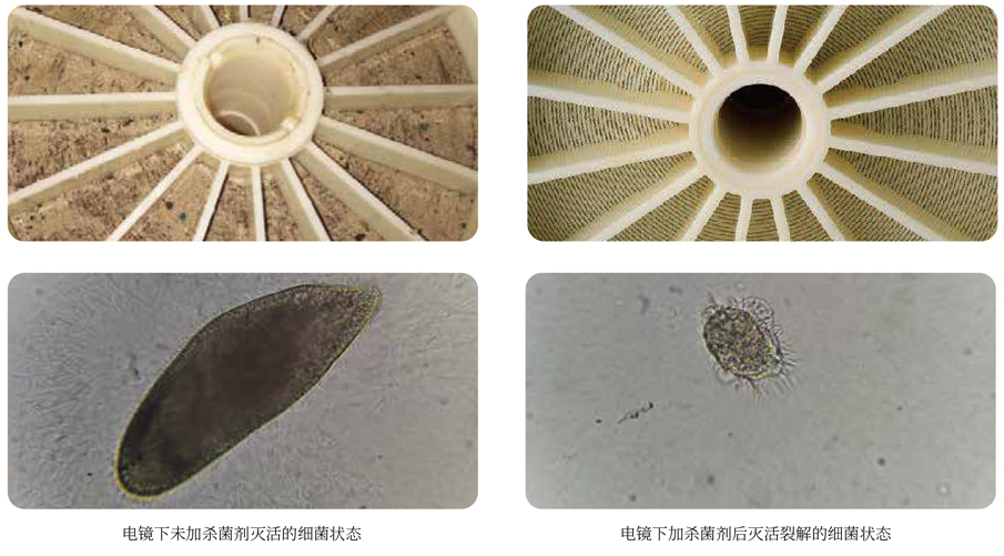 1639807023176512.jpg 巴沃夫产品系列画册2022_01.jpg